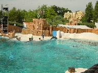 Click to see 20010823113142.jpg