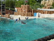 Click to see 20010823113218.jpg