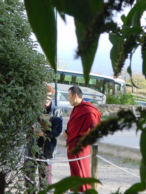 A monk through branches