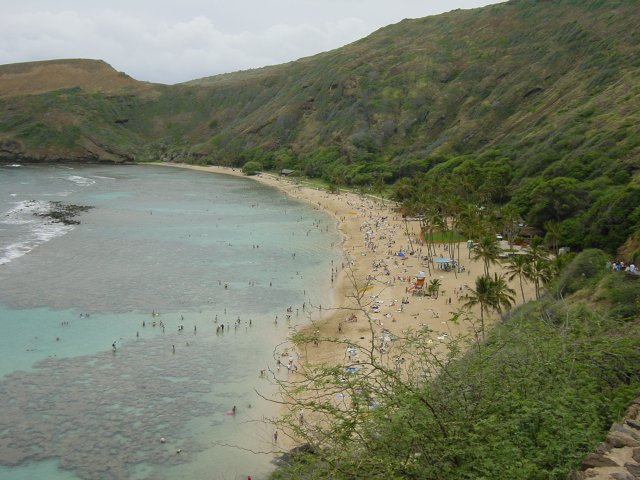 Hanauma bay, people in the water from above