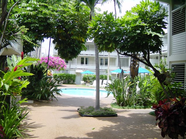 View on the second swimming pool of our hotel