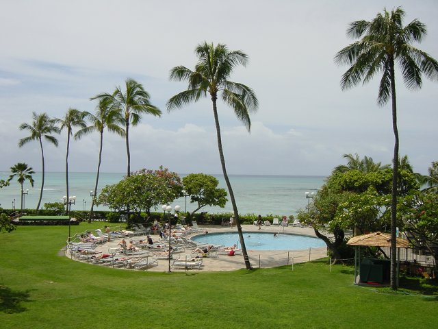 Sunny day : swimming pool of the Sheraton, palm trees, ocean and blue sky