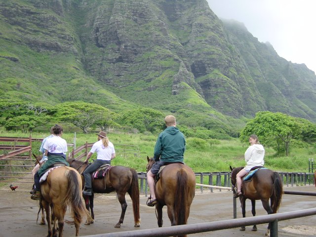 On horses: Christelle, Chaals, Ted and Joan