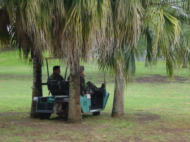 Military officers in their cart, hidden between three palm trees