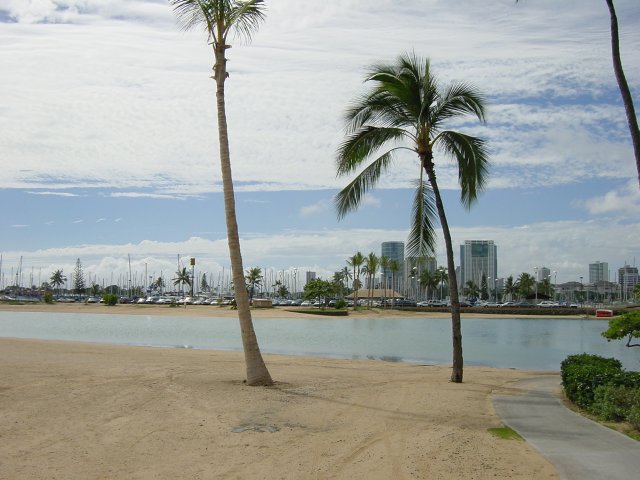 Lake next to the ocean. Palm trees. Harbour in the background