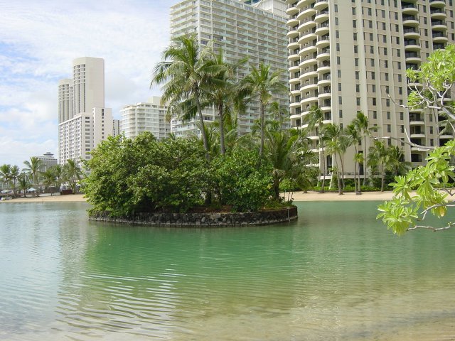 Oasis in front of high buildings