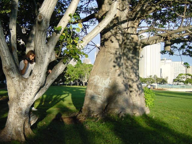 Caroline climbing on a tree to take a picture