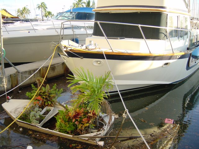Mini garden on a small canoe, just in front of a larger boat