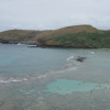 Hanauma bay