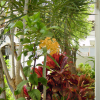 Flowers in the hotel garden