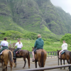 On horses: Christelle, Chaals, Ted and Joan