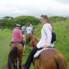 Coralie riding Buddha the crazy rodeo horse, Olivier, others in front