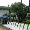 Our hotel: Hawaiiana Hotel