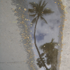 Puddle reflection: Palm trees, blue sky and white clouds