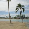 Lake next to the ocean. Palm trees. Harbour in the background