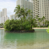 Oasis in front of high buildings
