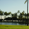 Canal and palm trees