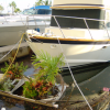 Mini garden on a small canoe, just in front of a larger boat