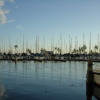 Still water in the harbour