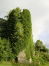 Ruine couverte de lierre au Monteil au Vicomte