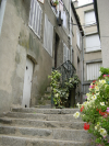 Escaliers fleuris