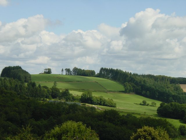 Pres et forets