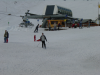 Pticul a ski