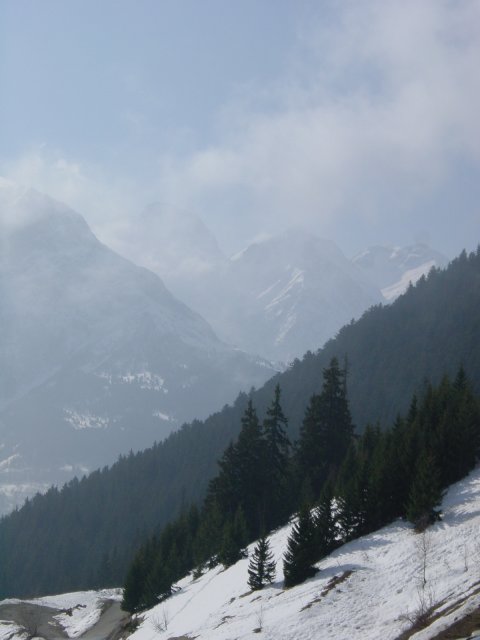 Brouillard sur la montagne