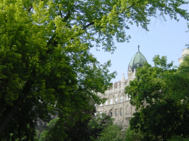 Trees and a glimpse of a building