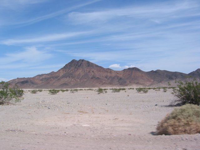 Desert landscape