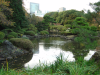 Japanese Traditional Garden and buildings in the background