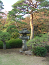 Japanese Traditional Garden 
