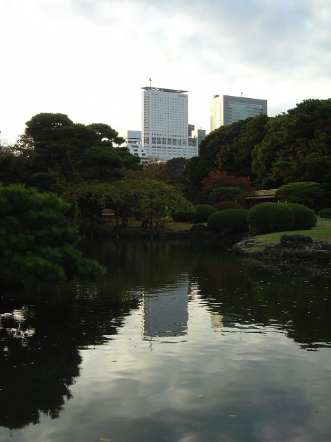 Buildings in the background reflected on the water of the pond