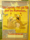 Affiche en vitrine "Les capotes, c'est pas fait pour les marmottes..."