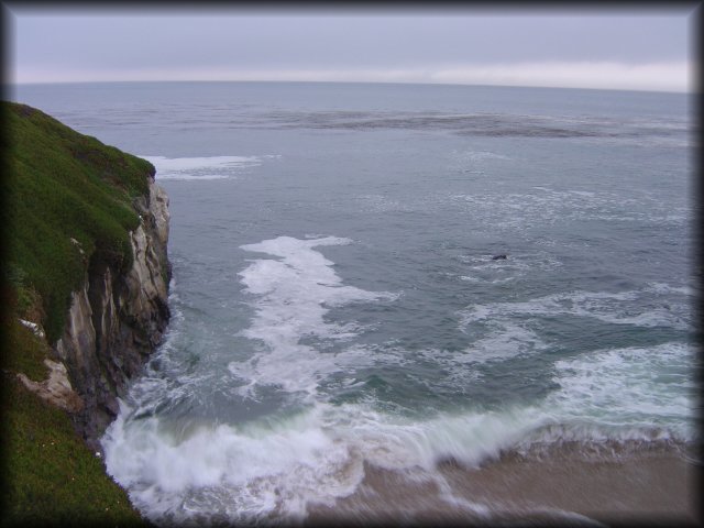 Natural Bridges State Beach, Santa Cruz, CA
