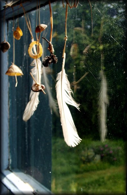 From the common room at the Old Monastery Hostel. Feathers and stuff dangling from the window, spider web and blurry garden behind.