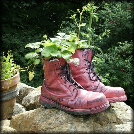 Pink boots as plant pot. These boots are made for walking, and that's just what they'll do one of these days these boots are gonna walk all over you.