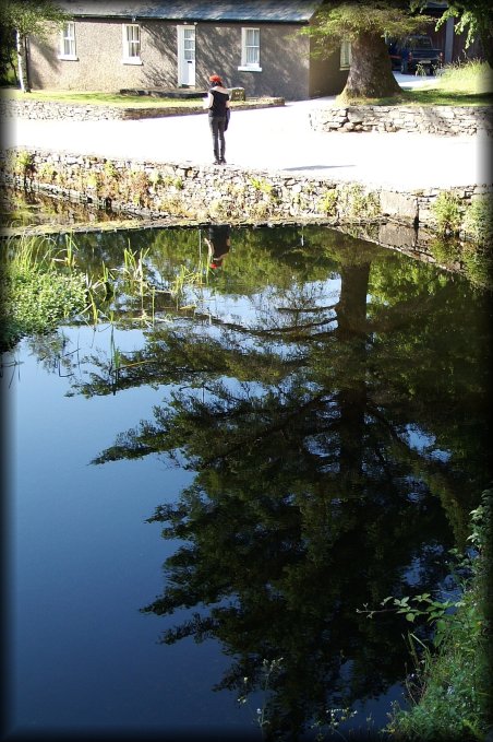 A big tree reflected in very still water. Wendy and her reflection.