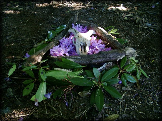 We found a sheep skull during our walk and started to build a shrine. Since this is already pretty crazy, the shrine was for the goddess of the Underworld.