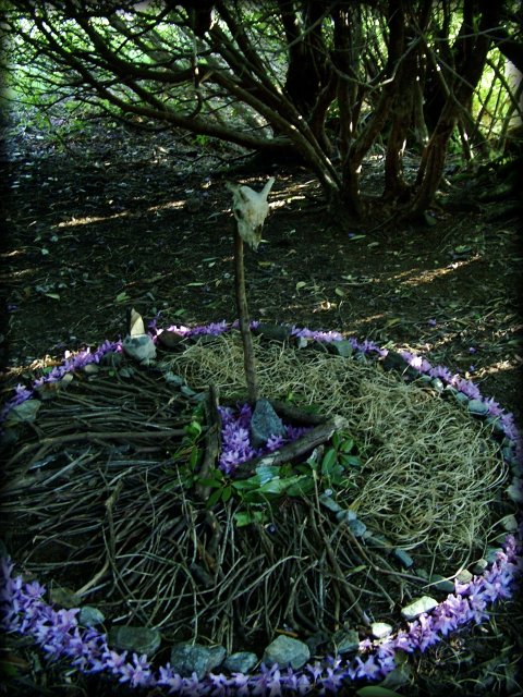 We found a sheep skull during our walk and started to build a shrine. Since this is already pretty crazy, the shrine was for the goddess of the Underworld. Our shrine is shaping up nicely.