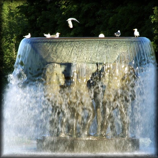 A bird about to land at the top of the fountain in the Vigeland Sculpture Park.