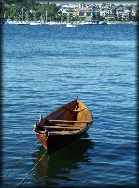 From searching the web about viking ships, I guess this boat is clinker-built (fixing wooden planks and in the early nineteenth century, iron plates to each other so that the planks overlap along their edges).  Anyway, pretty, isn't it?