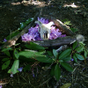 We found a sheep skull during our walk and started to build a shrine. Since this is already pretty crazy, the shrine was for the goddess of the Underworld.