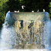 A bird about to land at the top of the fountain in the Vigeland Sculpture Park.