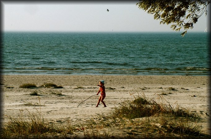 I like the instant of this photo; a bird flying by, a sail boat on the horizon, leaves and branches from a tree at the top and weeds at the bottom, framing the little girl who played by herself on the beach, drawing shapes in the sand with a long stick.