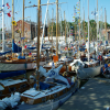 Crowded harbour