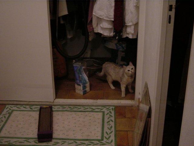 Emu dans le dressing