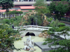 Bridge and pond of a chinese garden in town