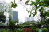 Trees and buildings