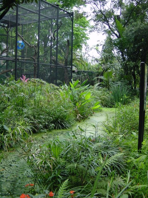 Cage and garden